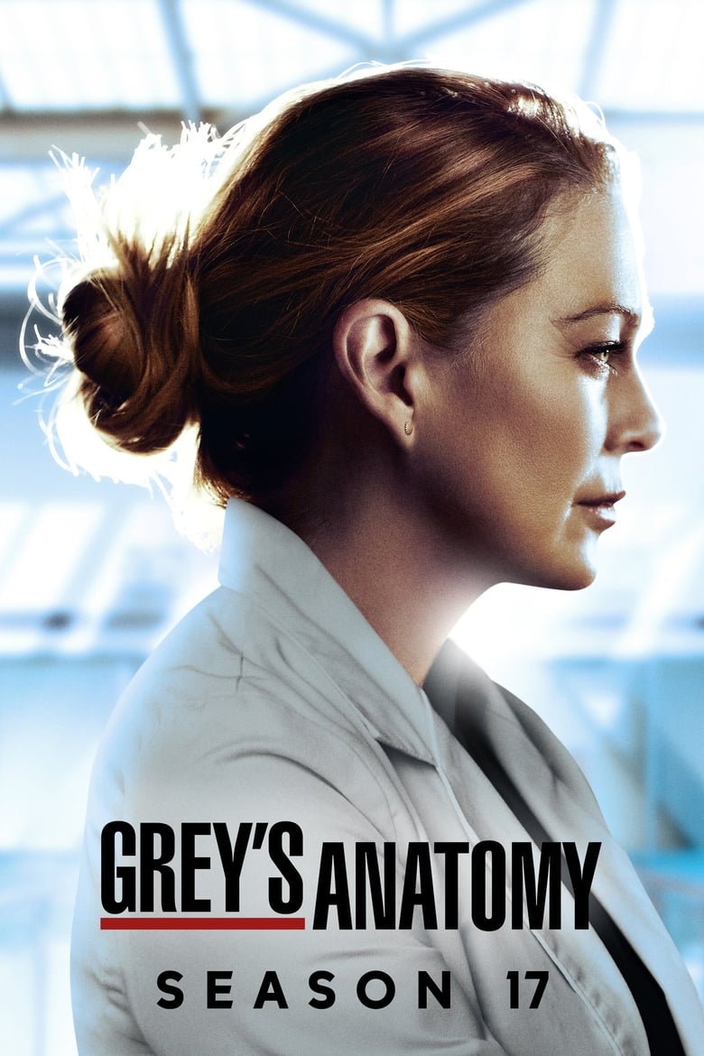 مسلسل Grey’s Anatomy الموسم السابع عشر الحلقة 01 مترجمة