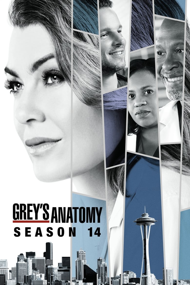 مسلسل Grey’s Anatomy الموسم الرابع عشر الحلقة 14 مترجمة