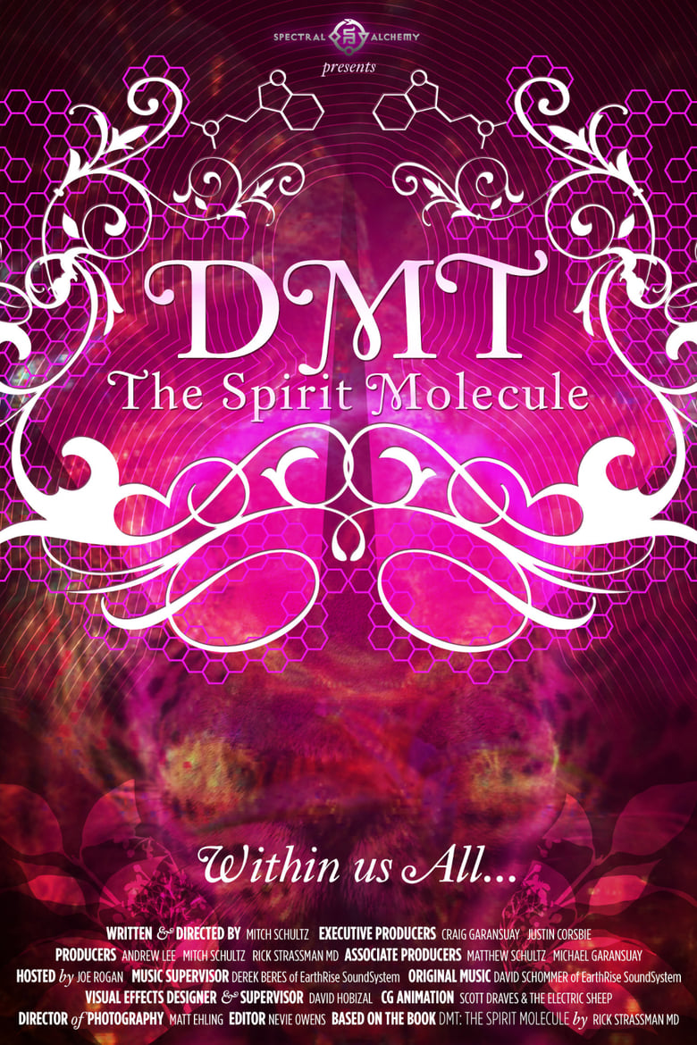 فيلم DMT: The Spirit Molecule 2010 مترجم