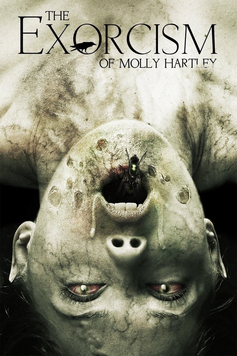 فيلم The Exorcism of Molly Hartley 2015 مترجم