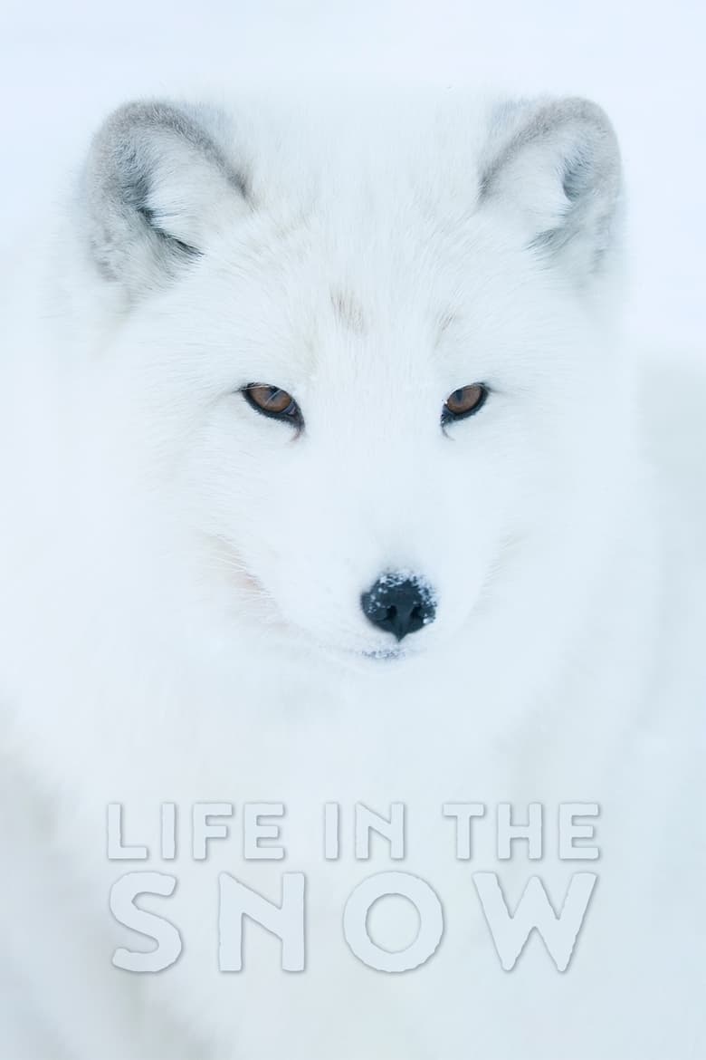 فيلم Life In The Snow 2016 مترجم