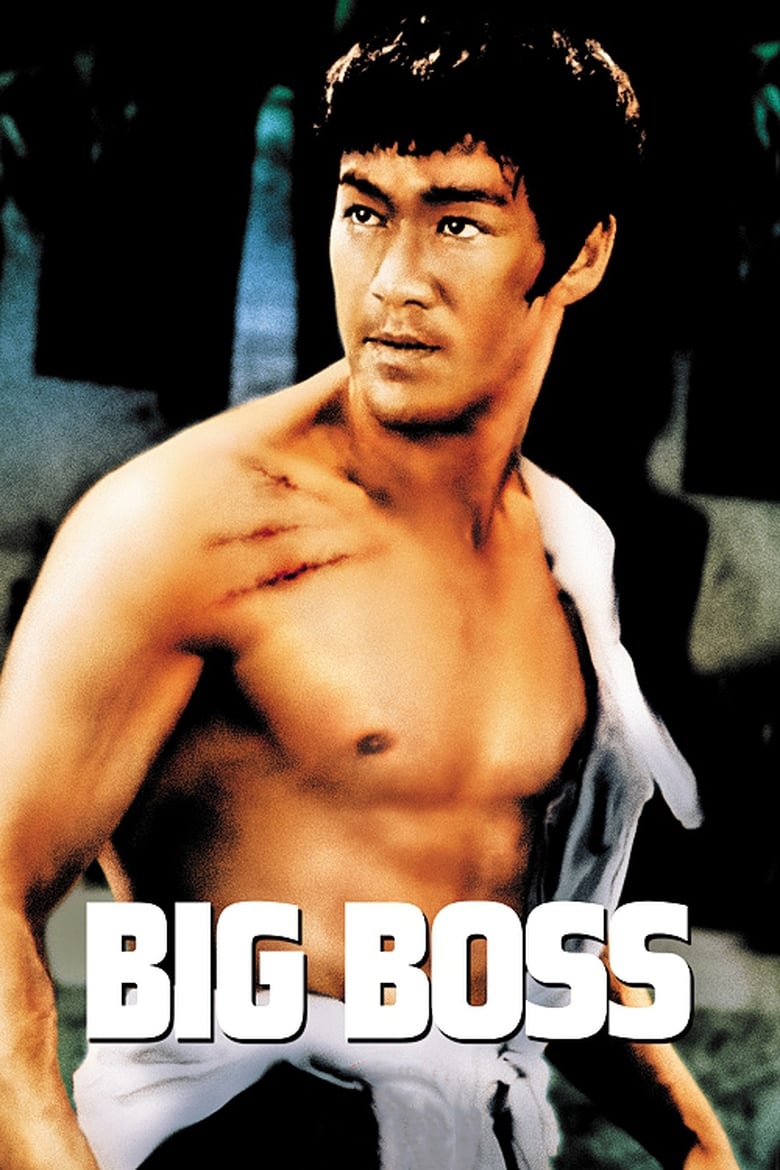 فيلم The Big Boss 1971 مترجم