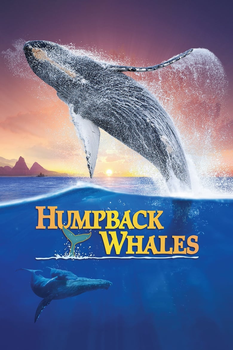 فيلم Humpback Whales 2015 مترجم