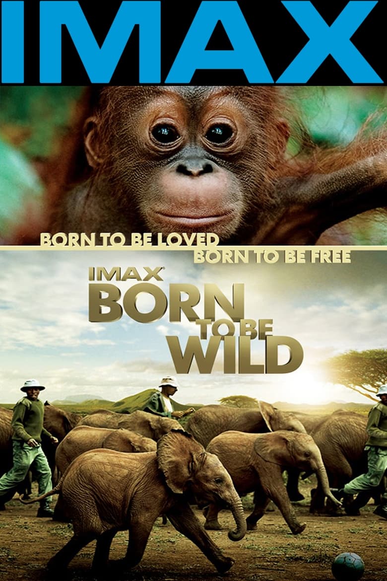 فيلم Born to Be Wild 2011 مترجم