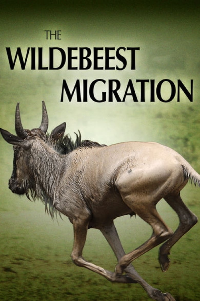فيلم The Wildebeest Migration: Nature’s Greatest Journey 2012 مترجم