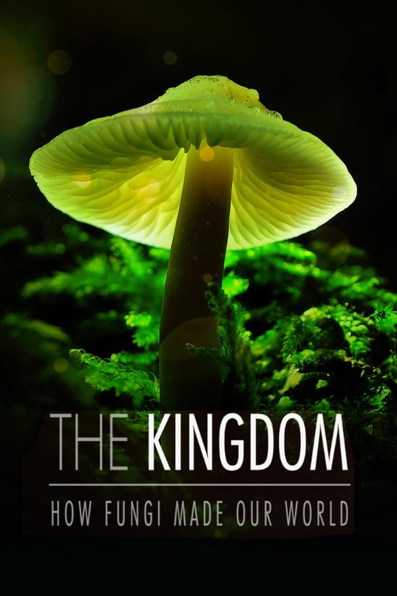 فيلم The Kingdom: How Fungi Made Our World 2018 مترجم