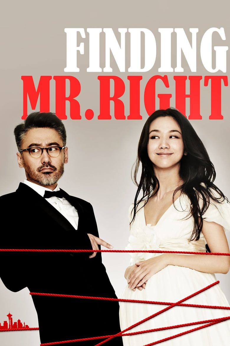 فيلم Finding Mr. Right 2013 مترجم