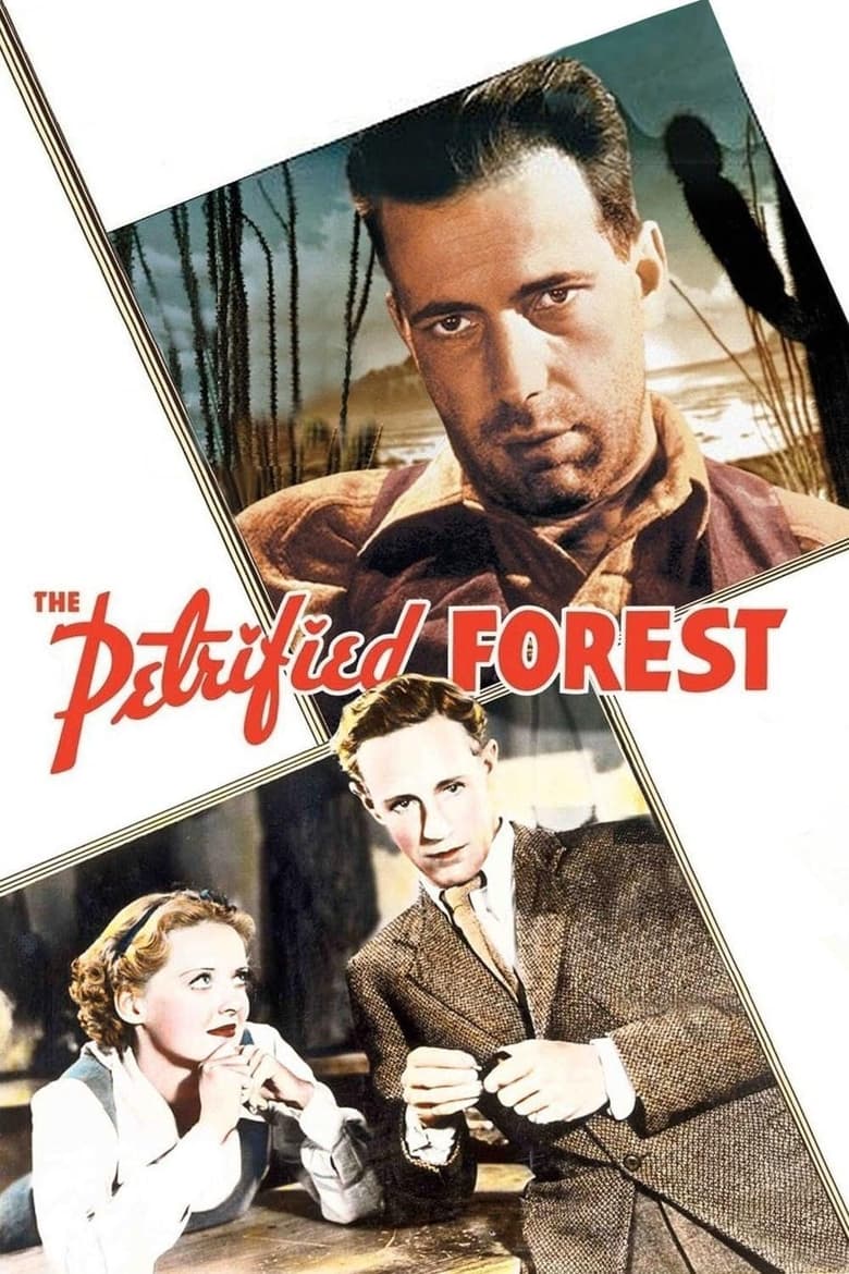 فيلم The Petrified Forest 1936 مترجم