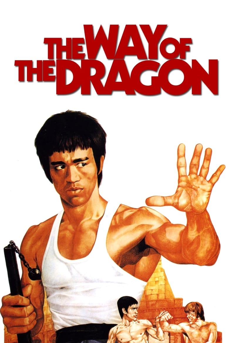 فيلم The Way of the Dragon 1972 مترجم