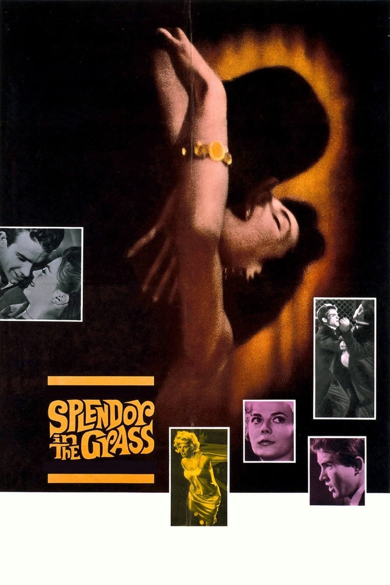 فيلم Splendor in the Grass 1961 مترجم