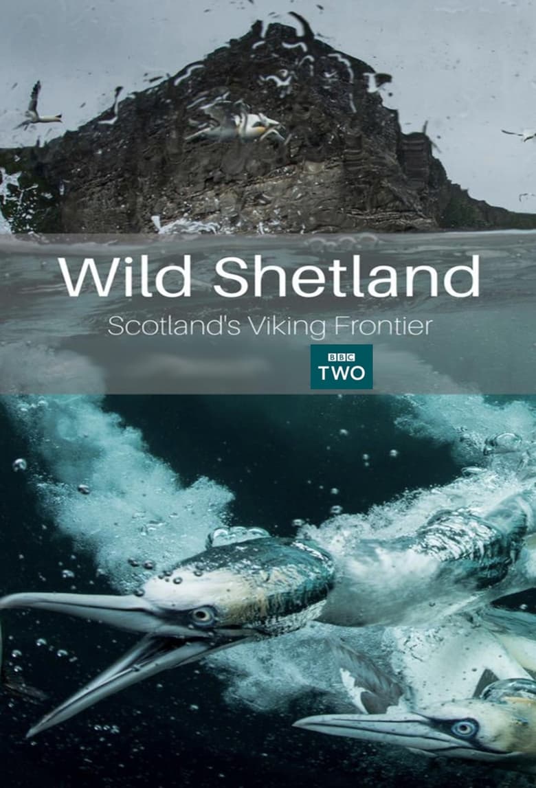 فيلم Wild Shetland: Scotland’s Viking Frontier 2019 مترجم