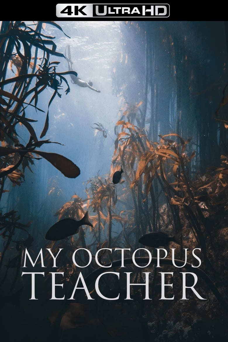 فيلم My Octopus Teacher 2020 مترجم