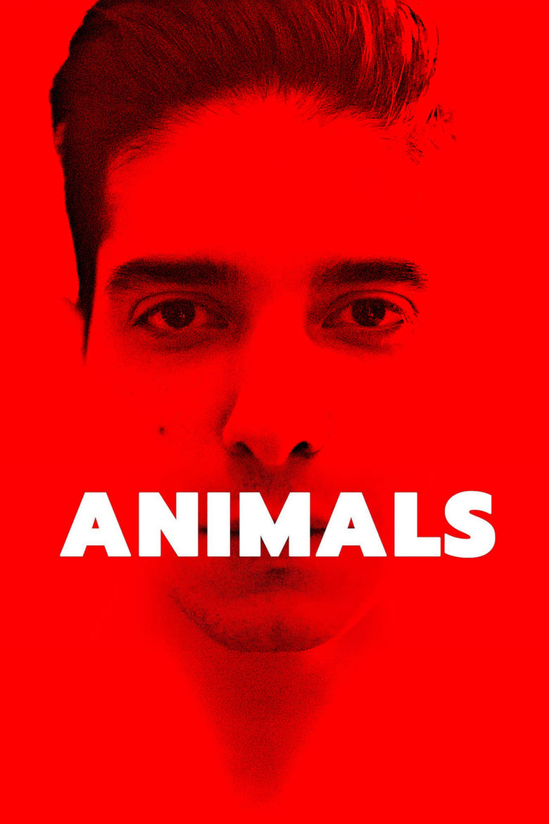 فيلم Animals 2021 مترجم