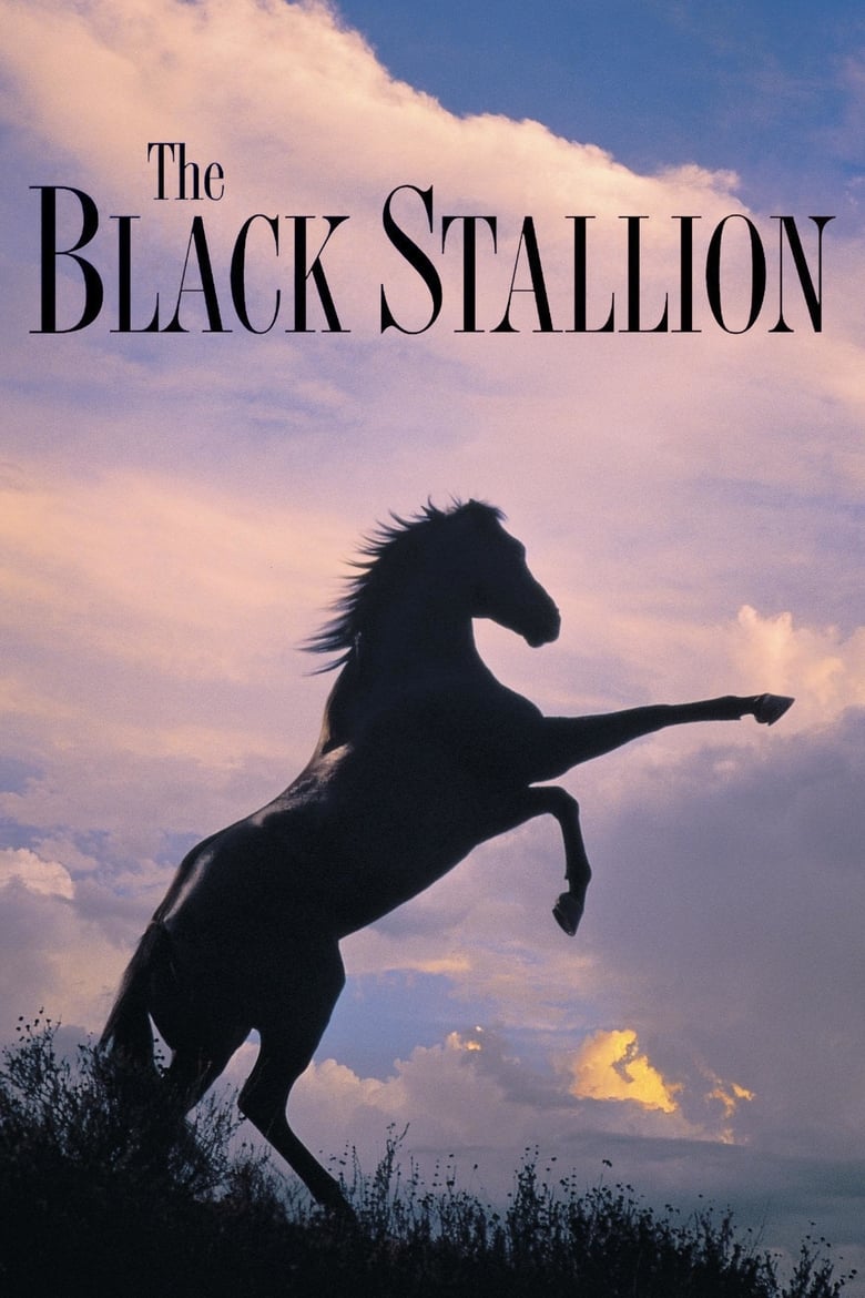 فيلم The Black Stallion 1979 مترجم
