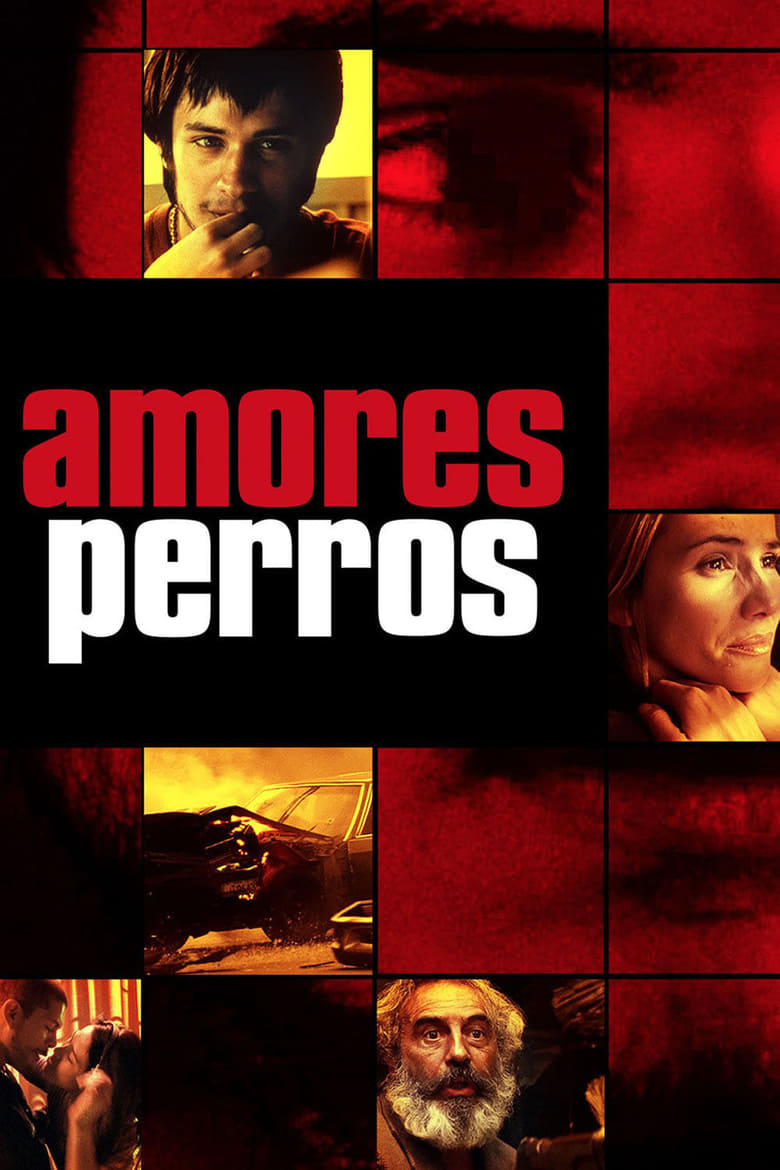 فيلم Amores Perros 2000 مترجم