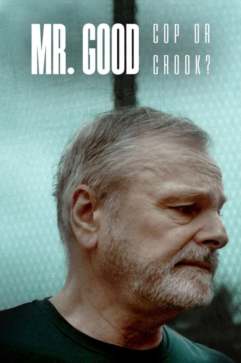مسلسل Mr. Good: Cop or Crook? مترجم