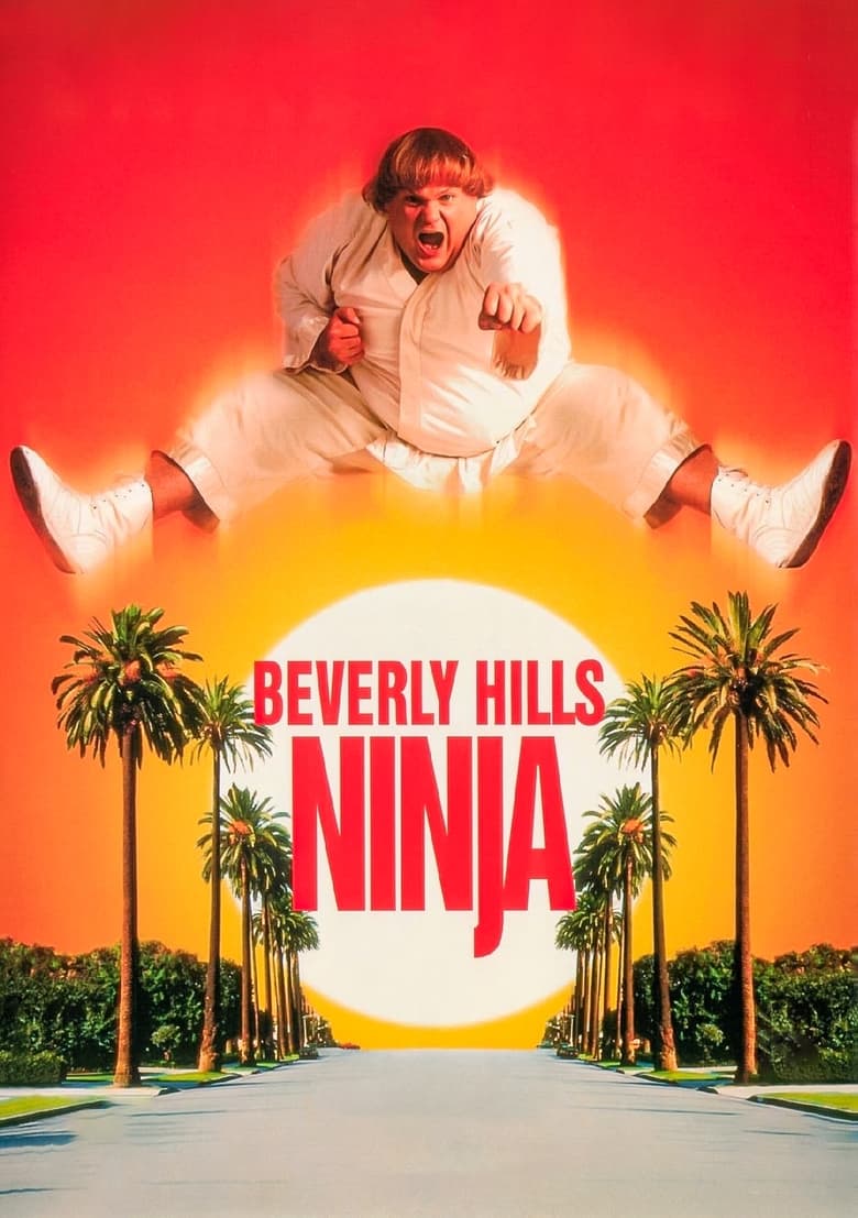 فيلم Beverly Hills Ninja 1997 مترجم