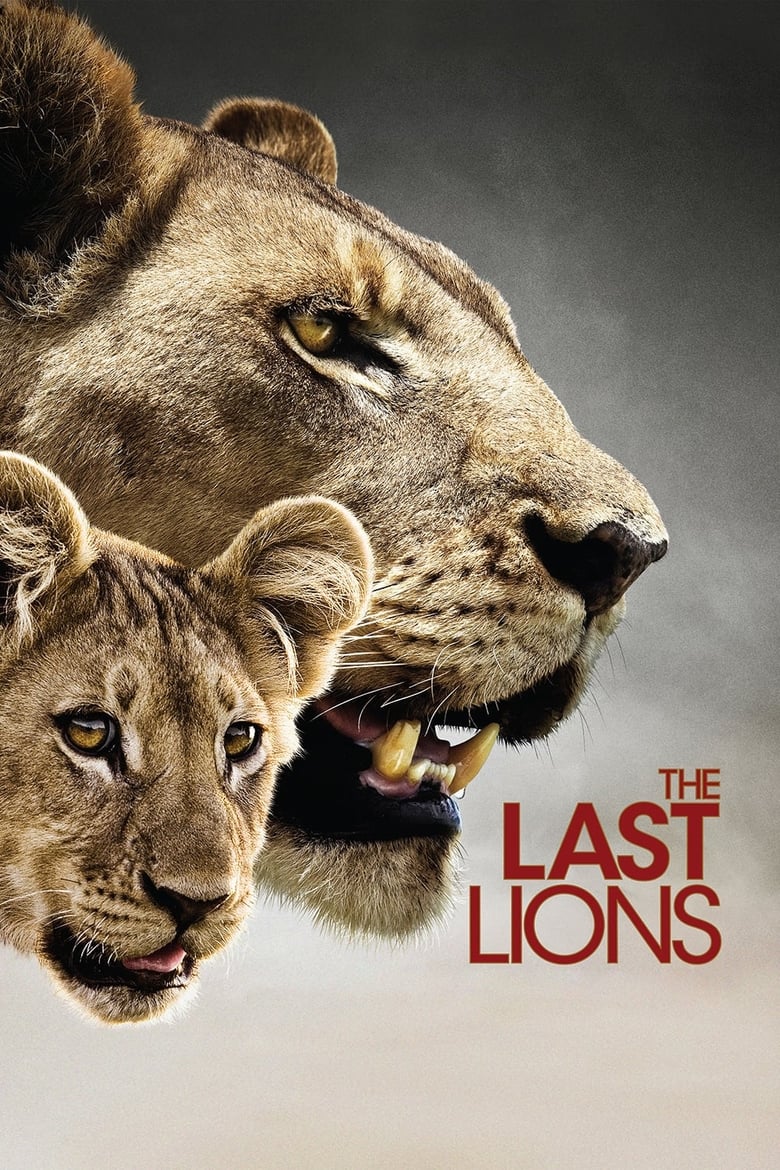 فيلم The Last Lions 2011 مترجم