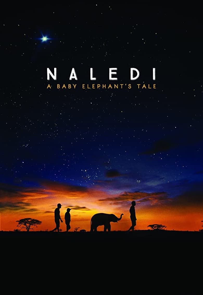 فيلم Naledi: A Baby Elephant’s Tale 2016 مترجم